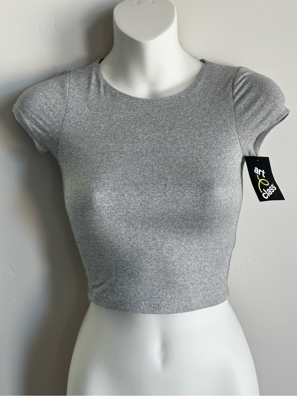 art class Heather Gray Short Sleeve Crewneck Crop Top